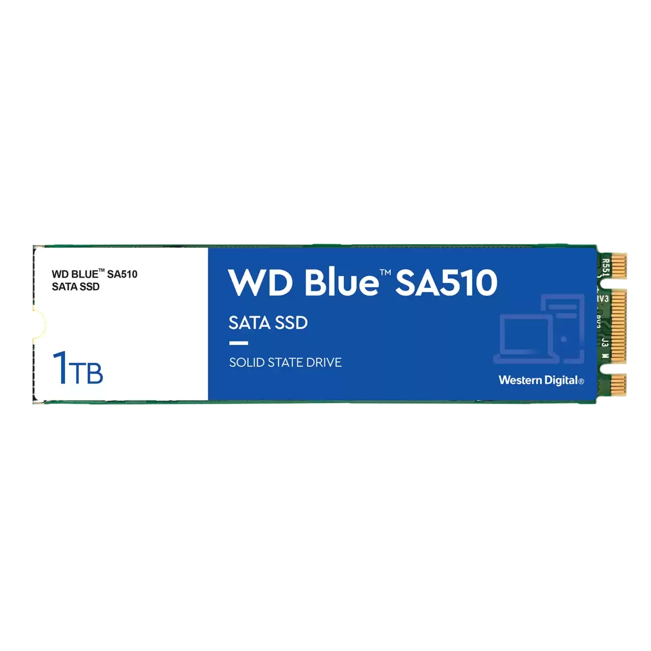 WDS100T3B0B-00AXS0 - Western Digital