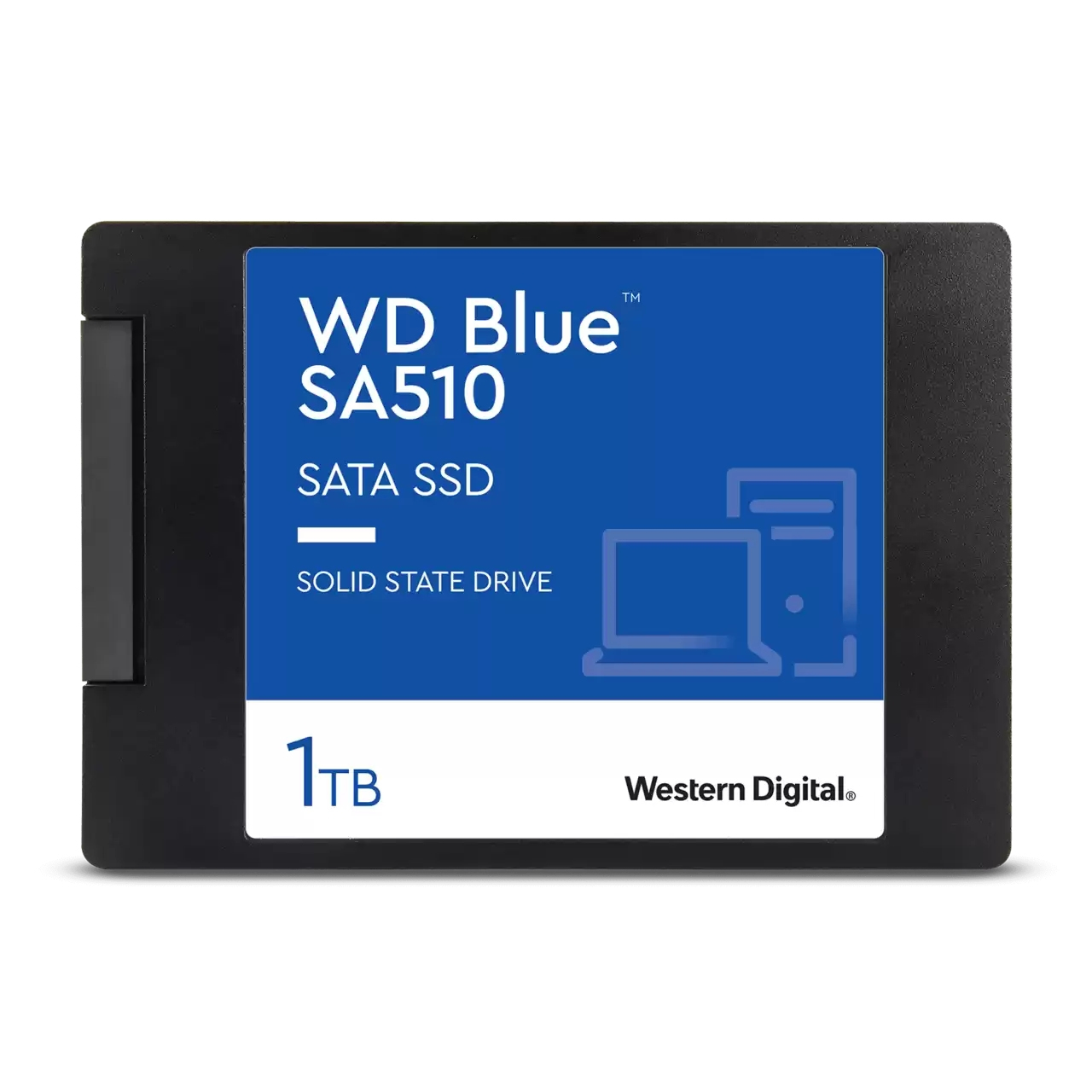 WDS100T3B0A - Western Digital
