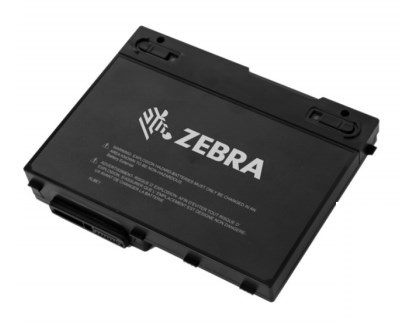 450149 - Zebra