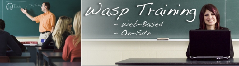 633808524104 - Wasp
