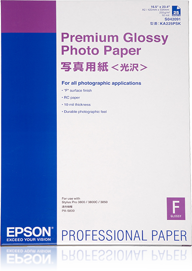 C13S042091 - Epson