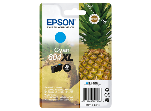 C13T10H24010 - Epson