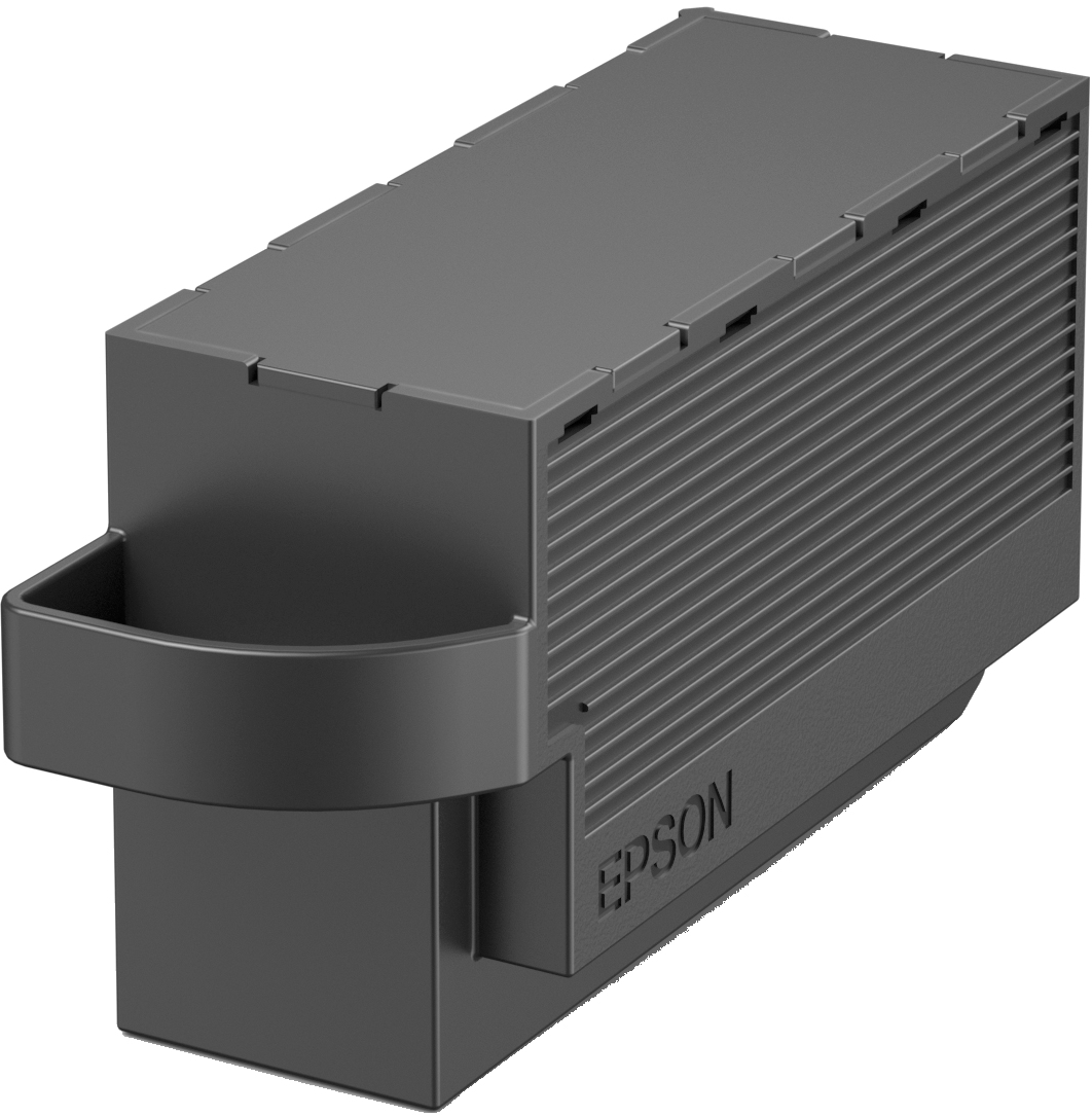 C13T366100 - Epson