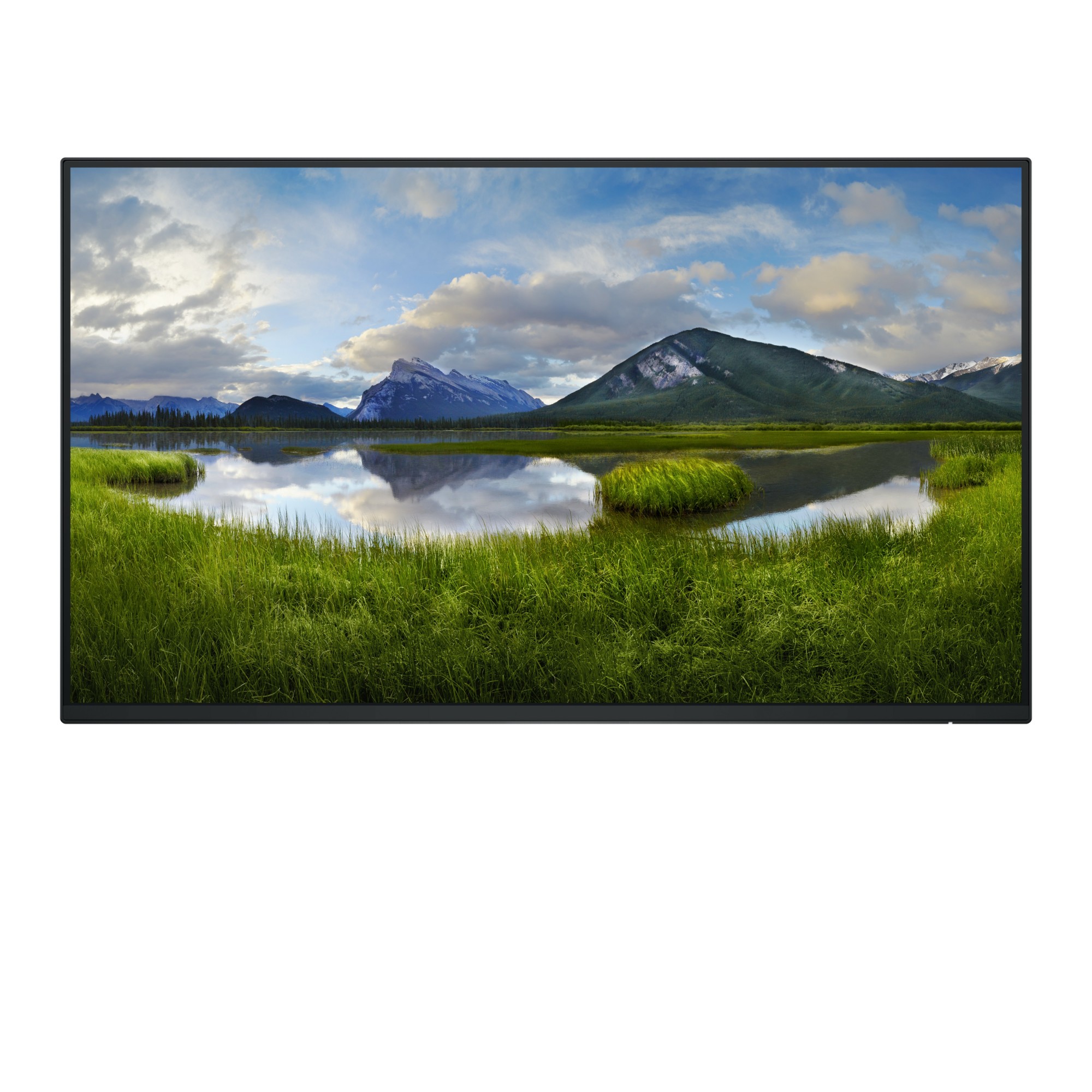 DELL-P2425HWO - DELL