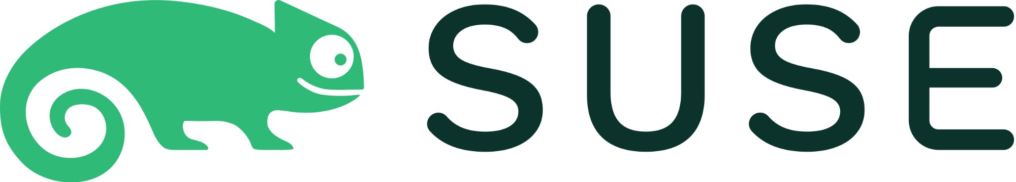 874-007831 - SUSE