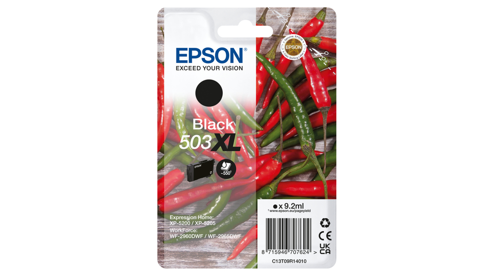 C13T09R14010 - Epson