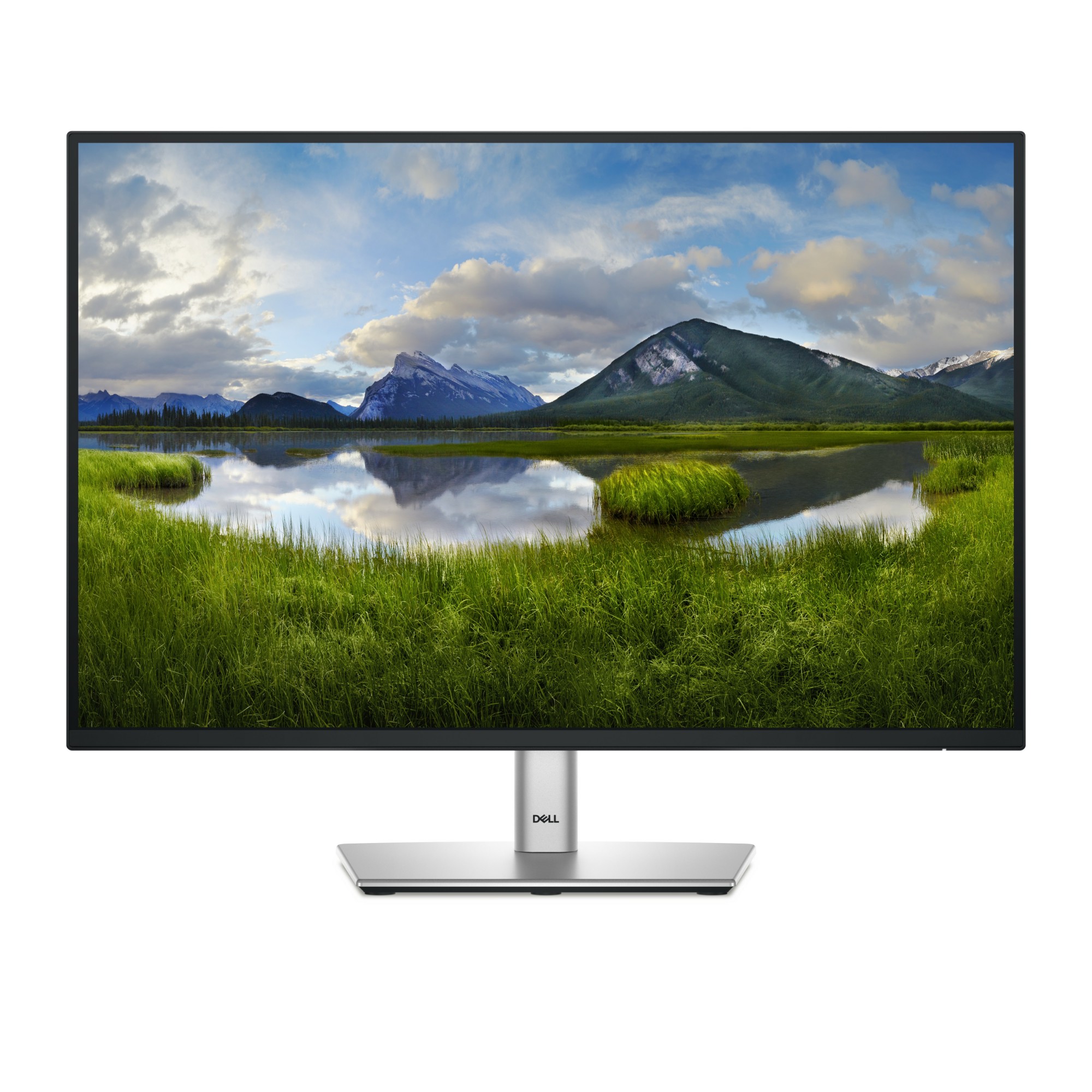 DELL-P2425E - DELL