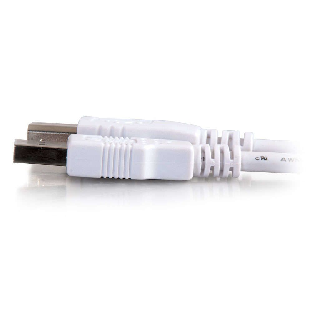 81562 - C2G