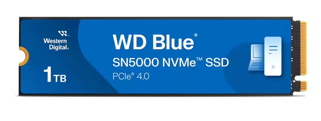 WDS100T4B0E-00CNZ0 - Western Digital