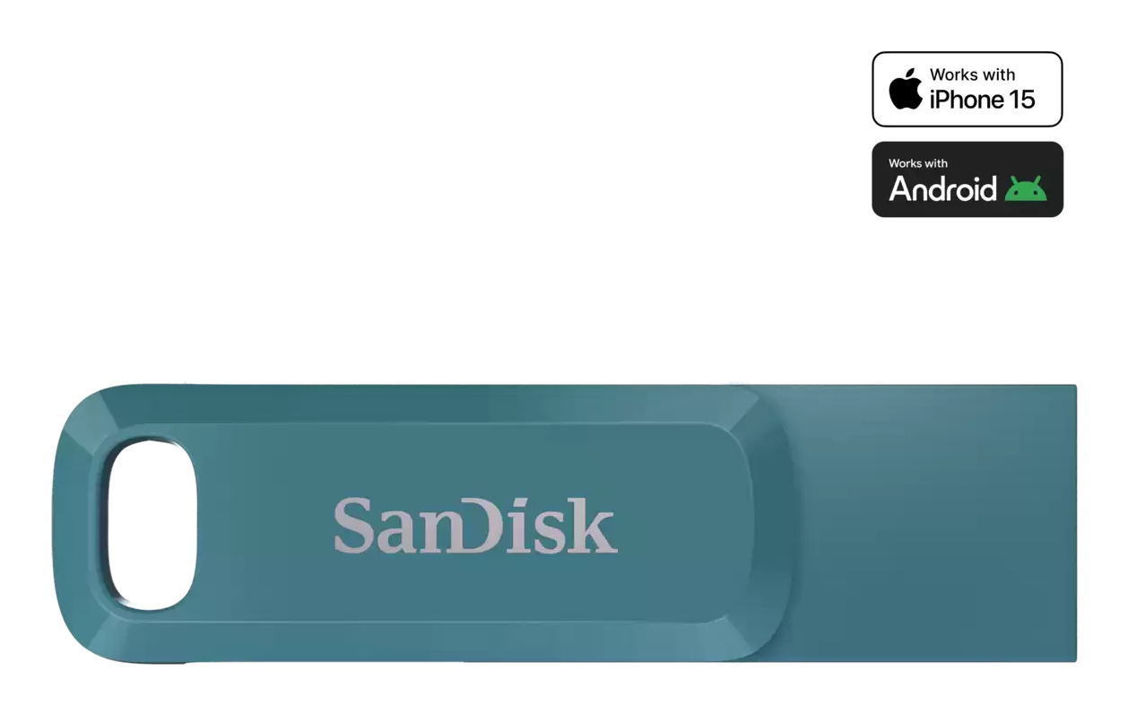 SDDDC3-1T00-G46NBB - Sandisk
