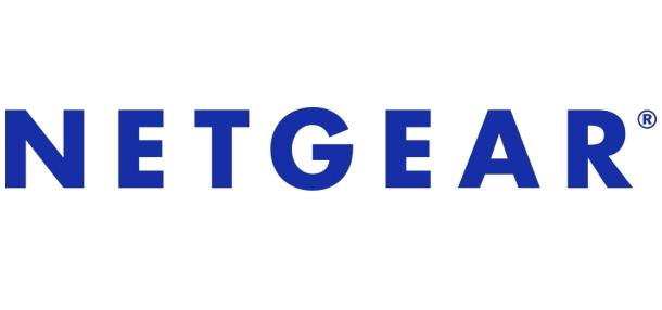 NPVNY1L1-10000S - Netgear