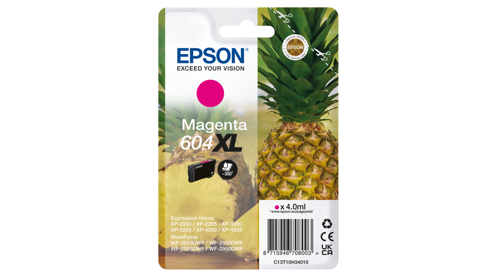 C13T10H34010 - Epson