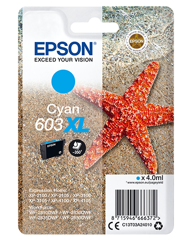 C13T03A24010 - Epson