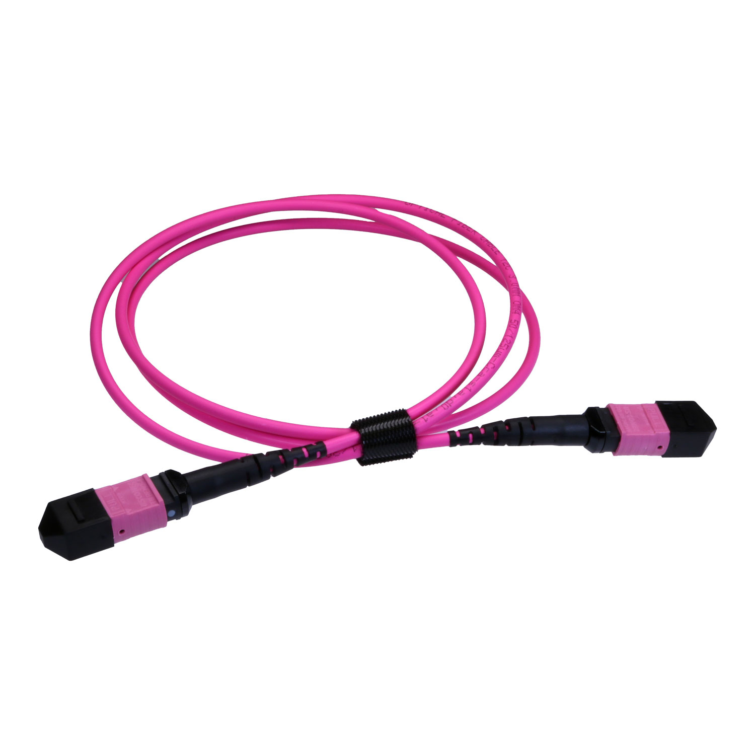 MPO-12TC4MPO5EV - Cablenet