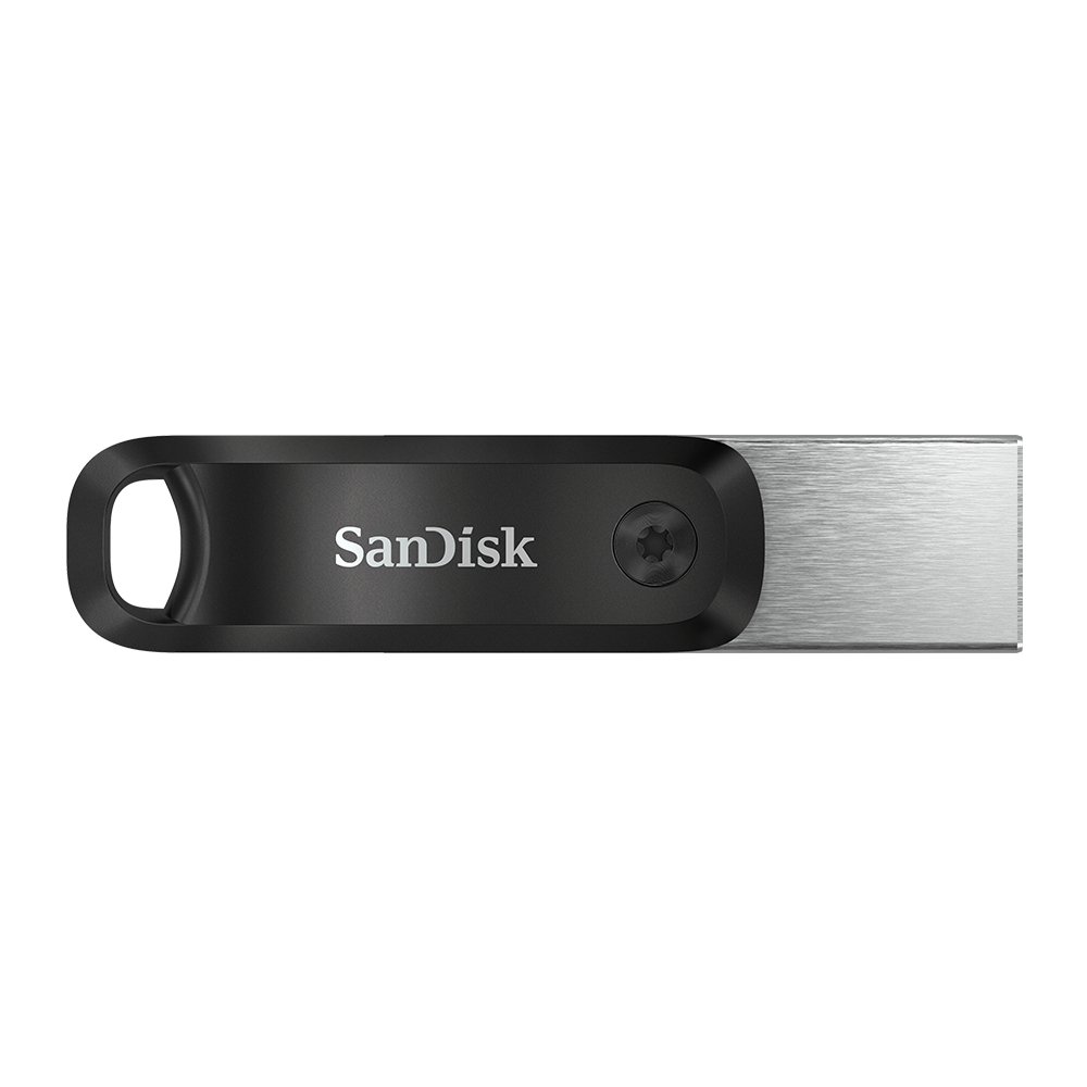 SDIX60N-256G-GN6NE - Sandisk
