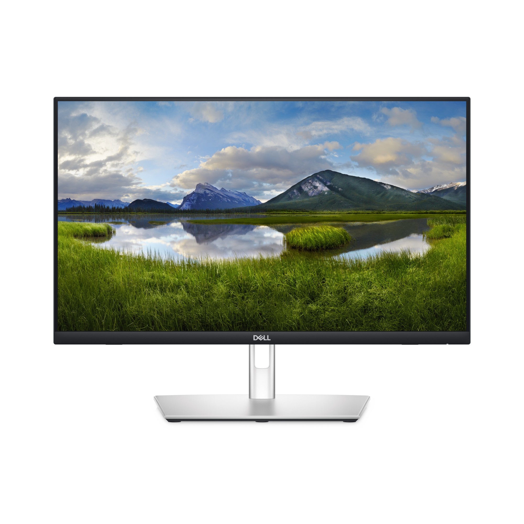 DELL-P2424HT - DELL