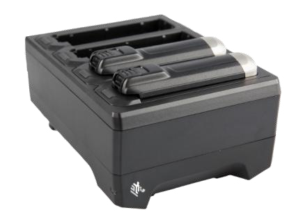 SAC-NWTRS-4SCH-01 - Zebra