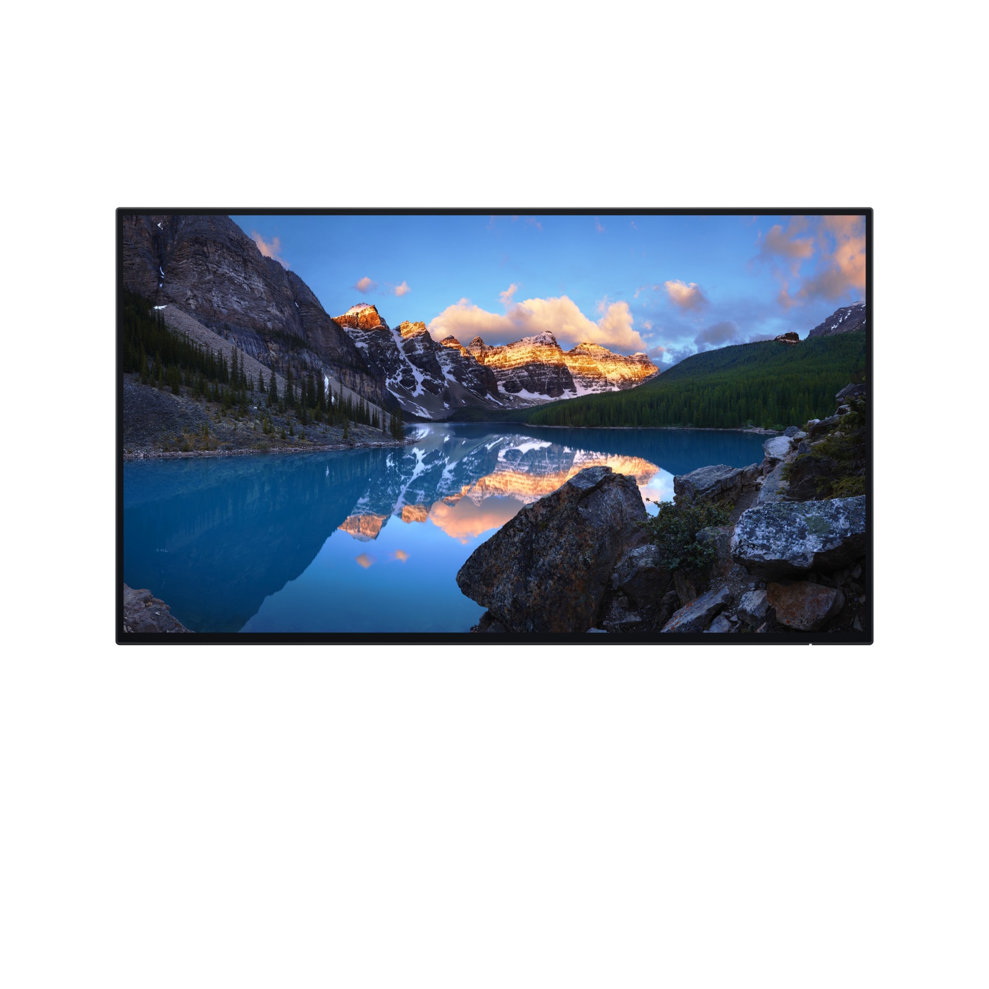 DELL-U2424HWOS - DELL