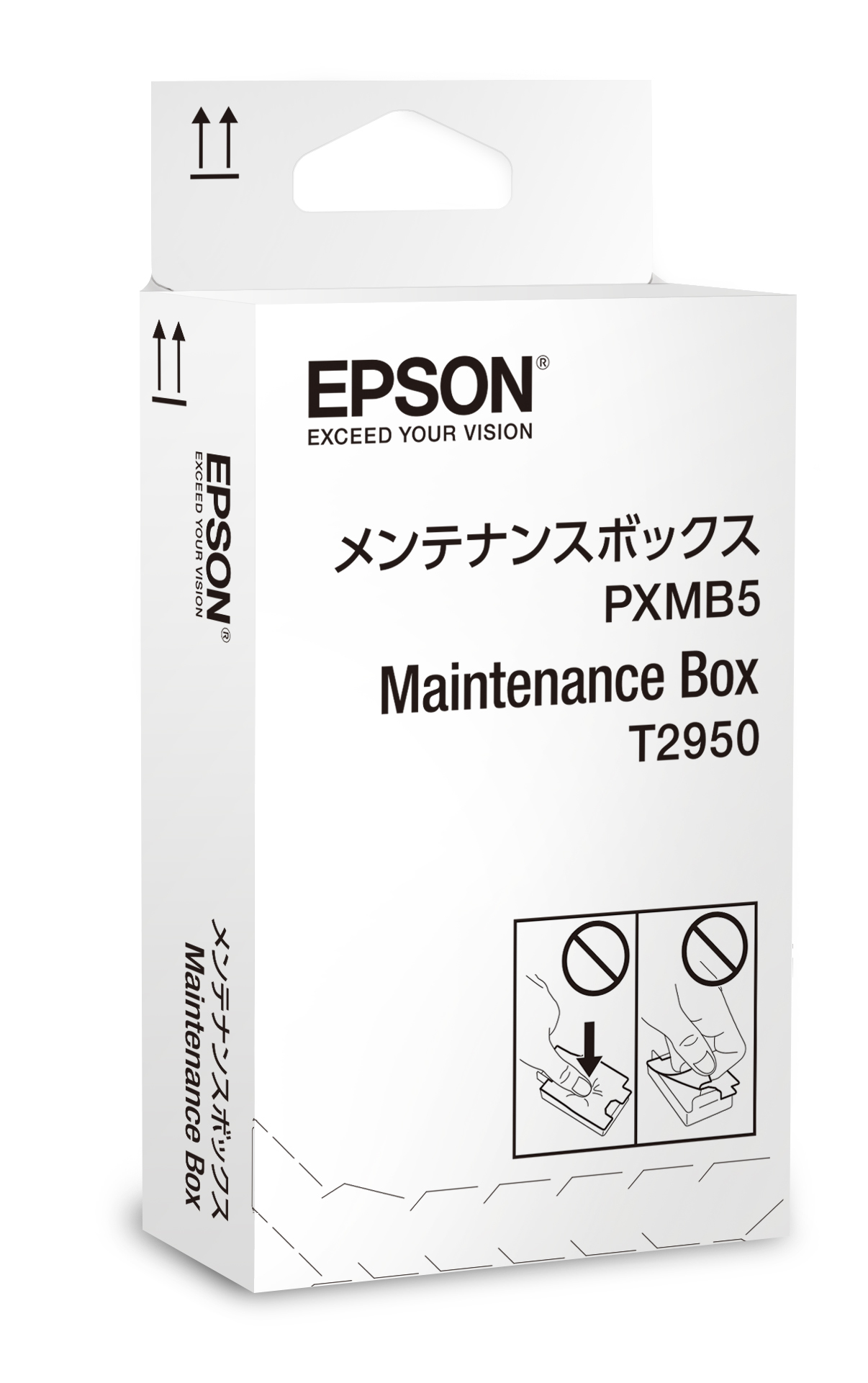 C13T295000 - Epson
