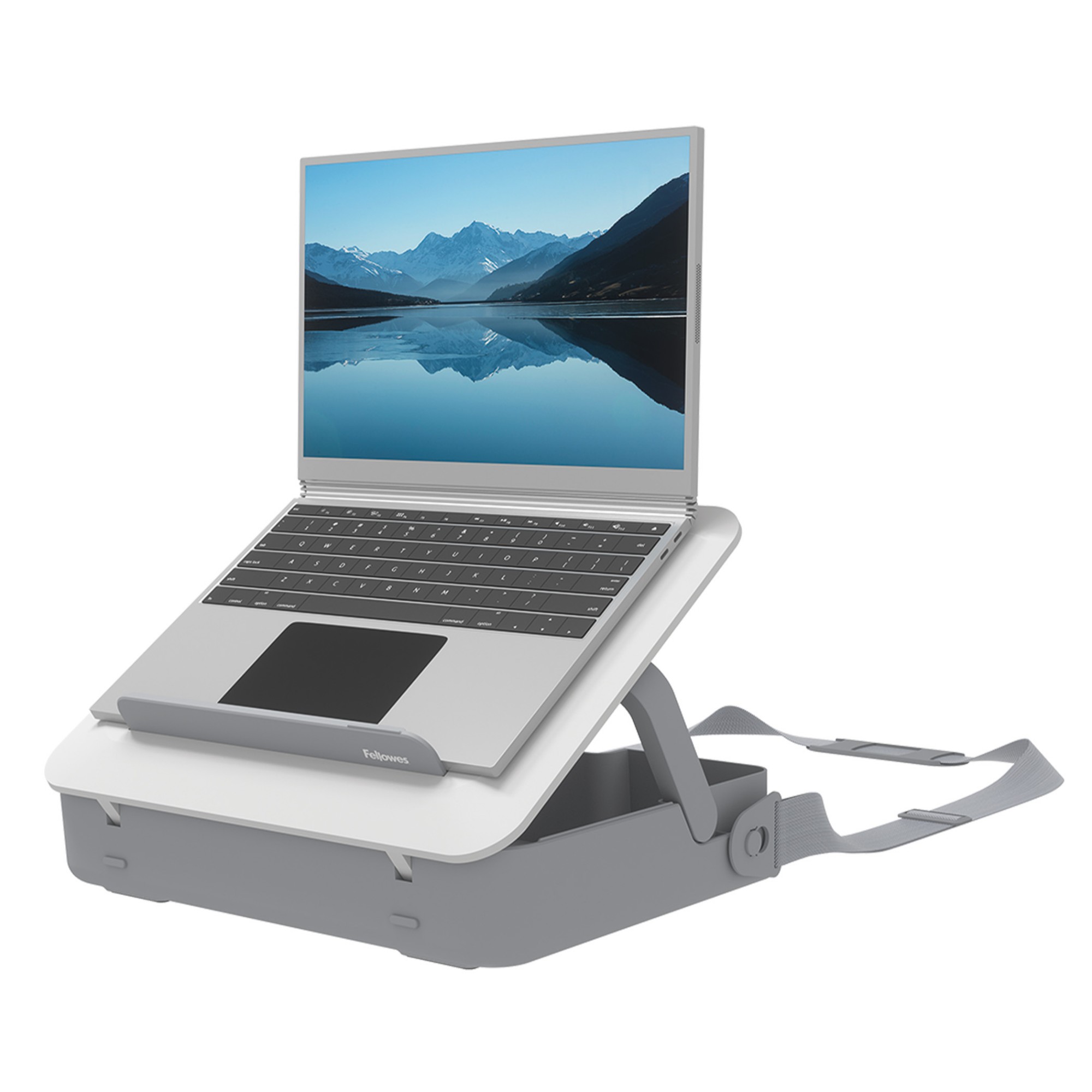 100016565 - Fellowes