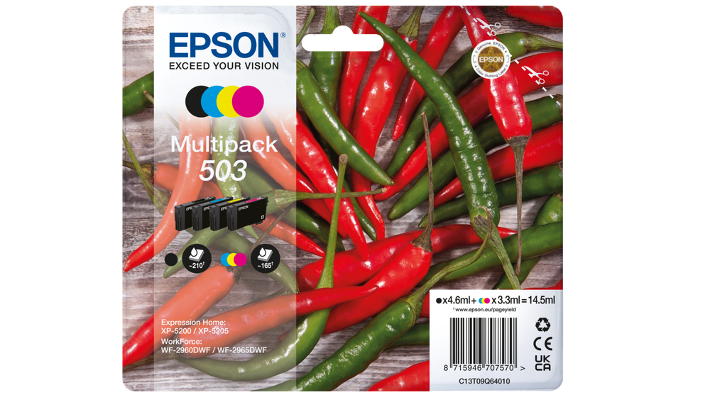 C13T09Q64010 - Epson