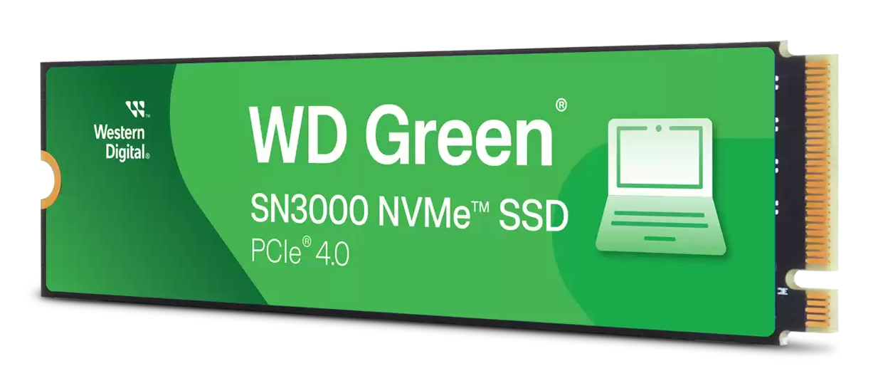 WDS500G4G0E-00CPS0 - Western Digital
