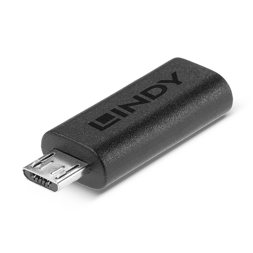 41903 - Lindy
