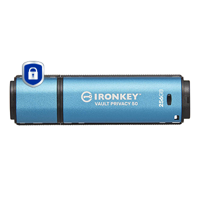 IKVP50/256GB - Kingston Technology