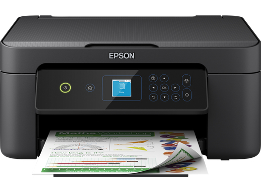 C11CK66402 - Epson