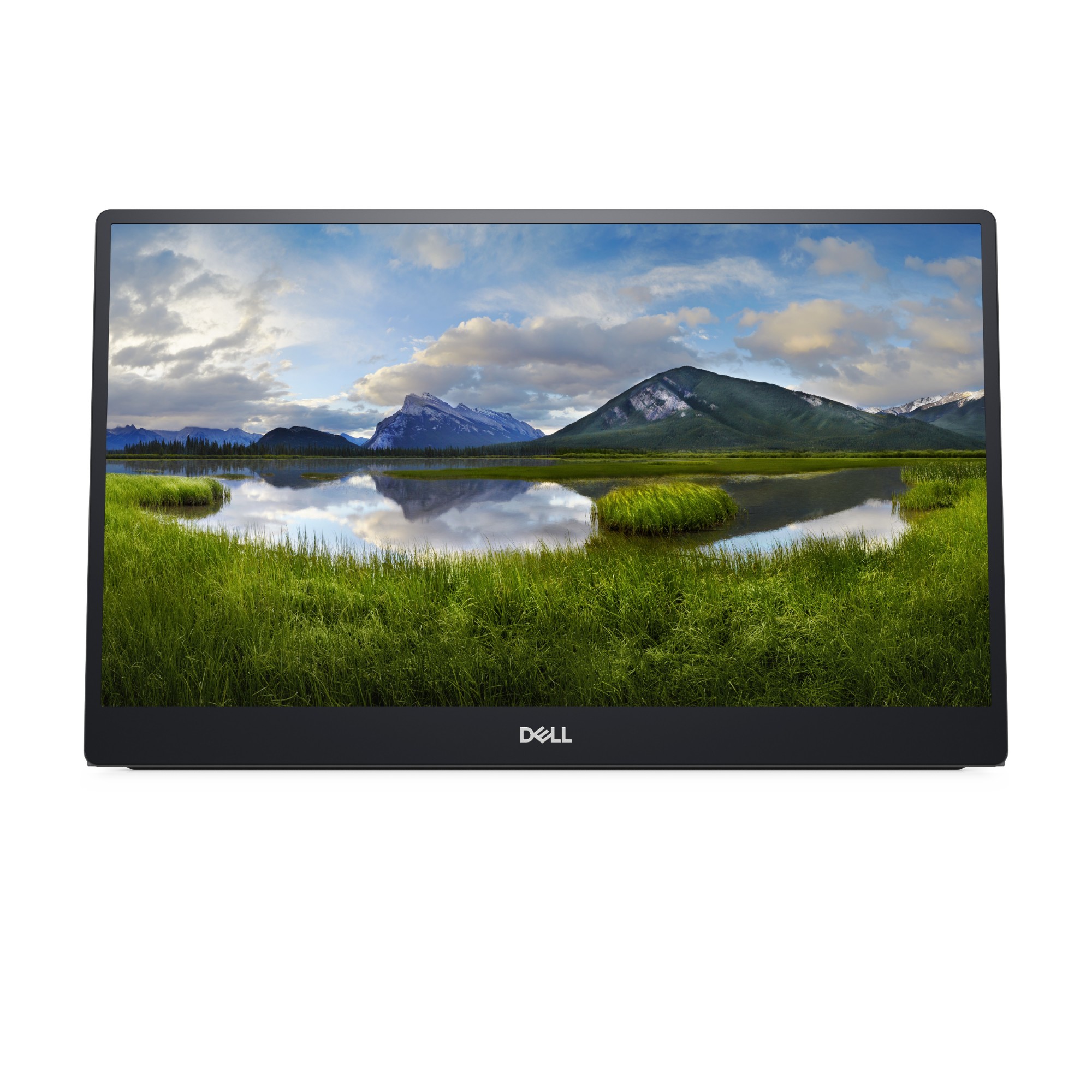 DELL-P1424H - DELL