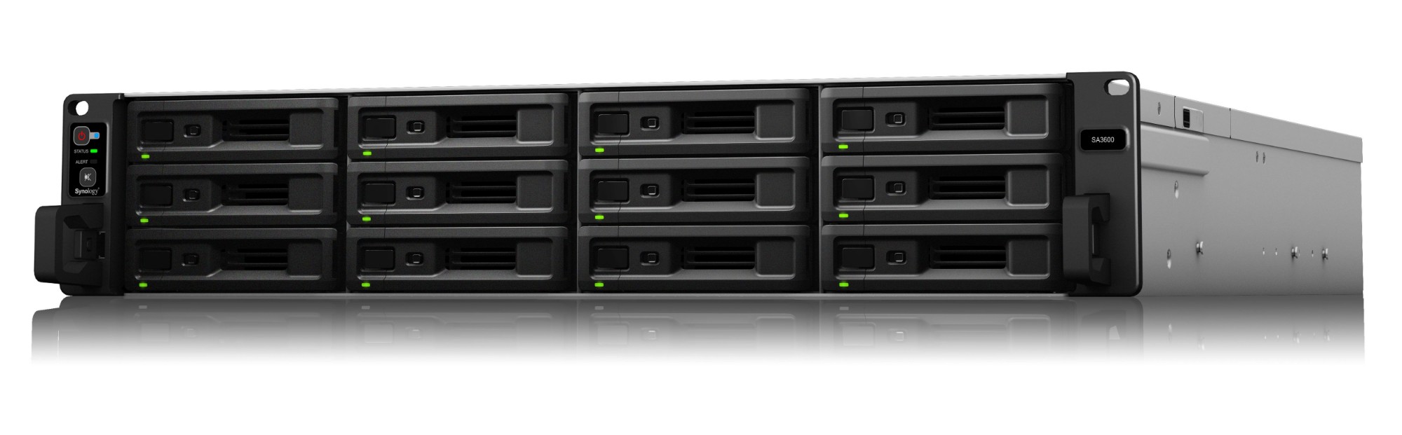 SA3600 - Synology