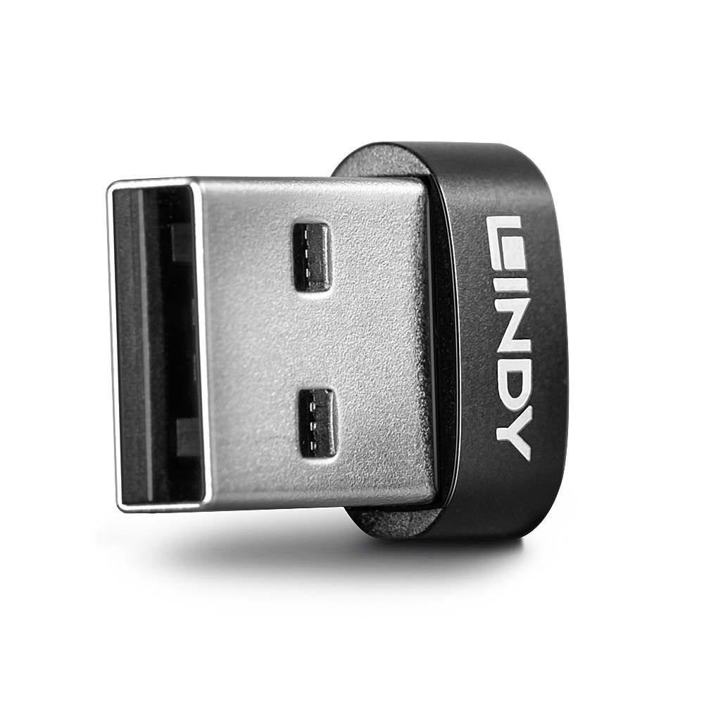 41884 - Lindy