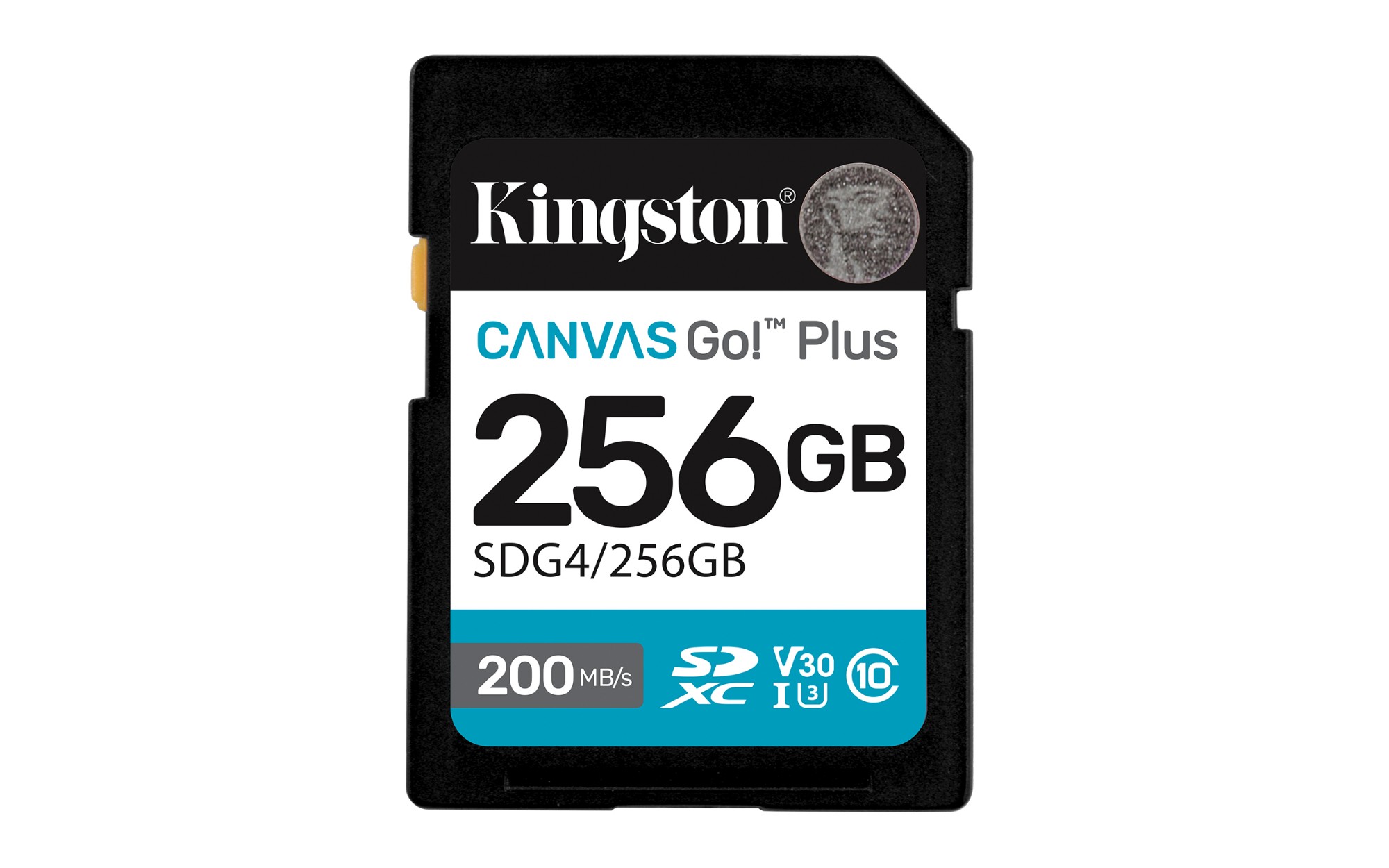 SDG4/256GB - Kingston Technology