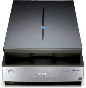 B11B224401BY - Epson