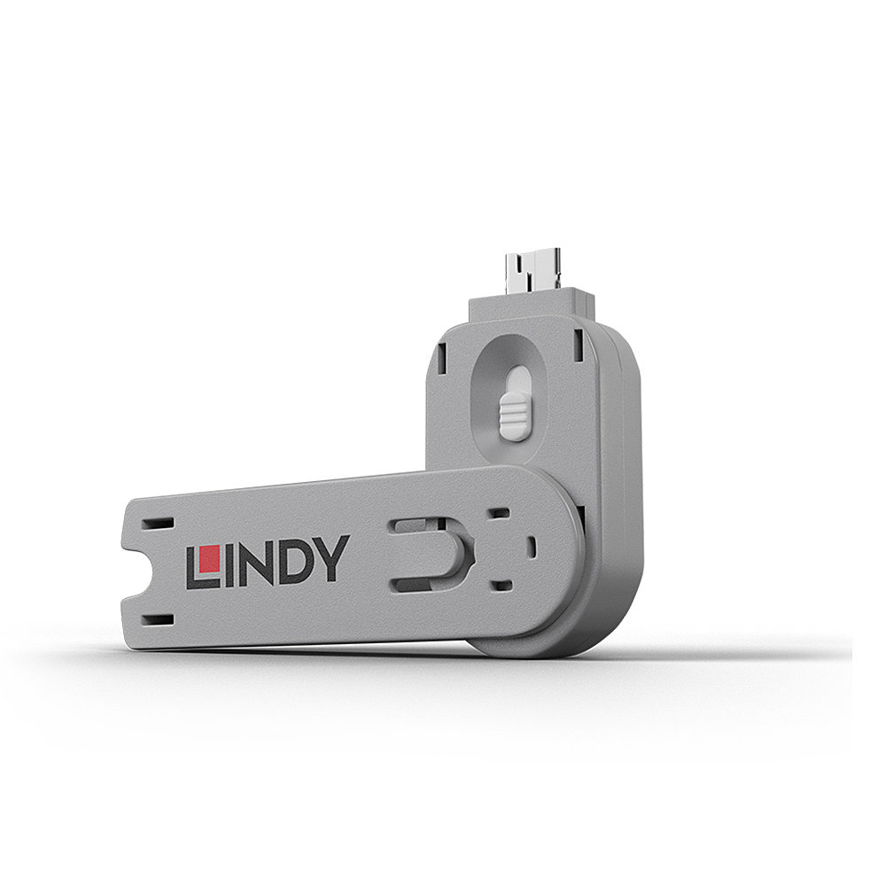 40624 - Lindy