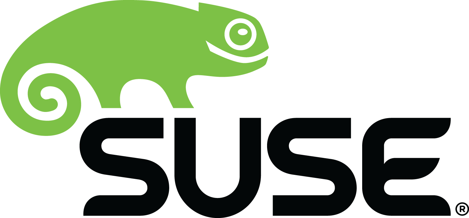 874-006868 - SUSE