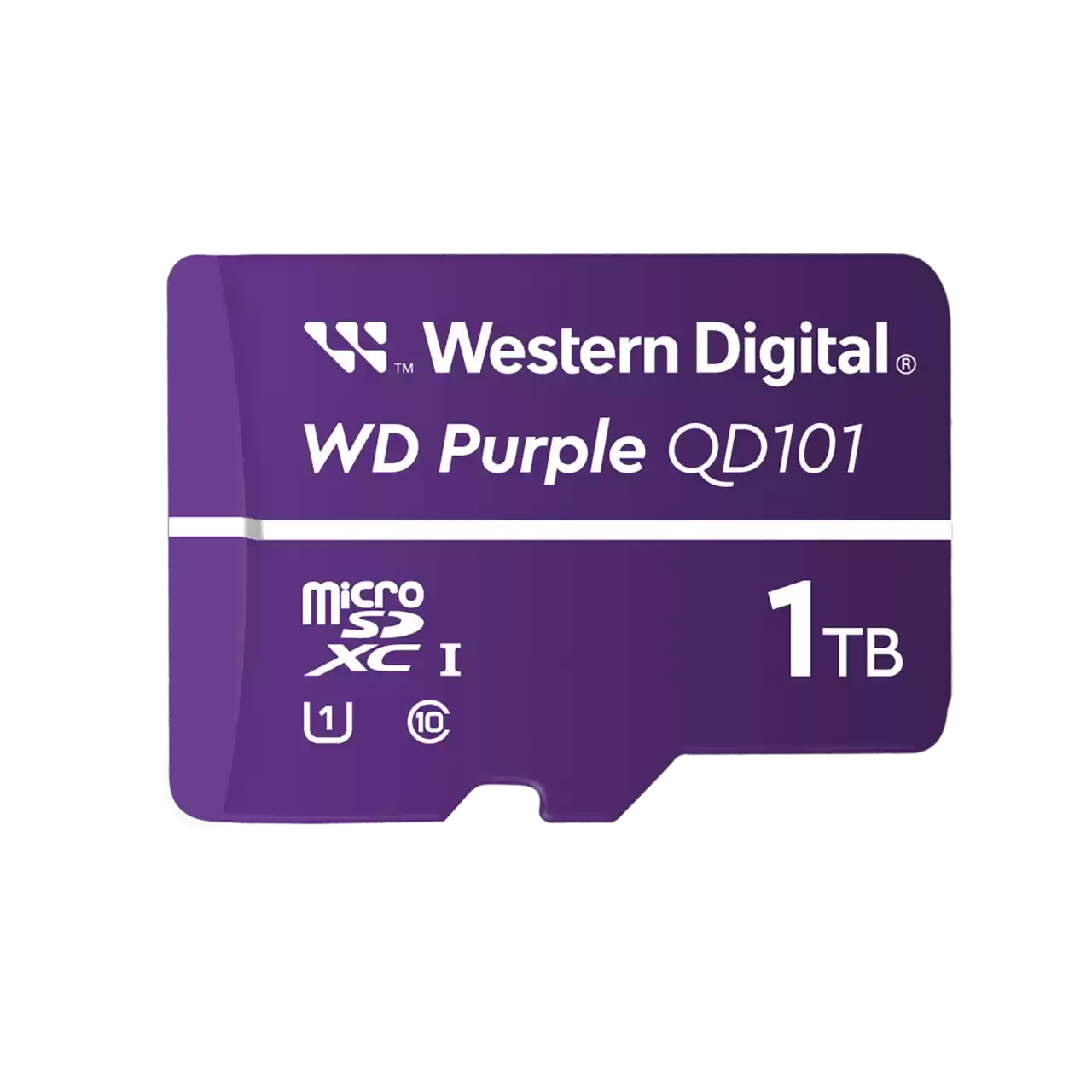 WDD100T1P0C-85AEL0 - Western Digital