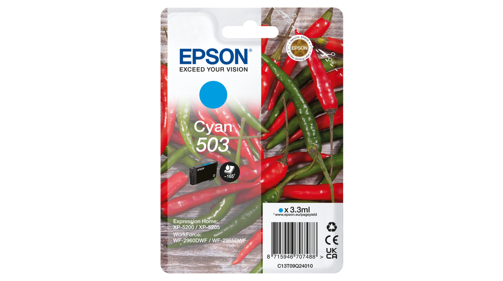 C13T09Q24010 - Epson