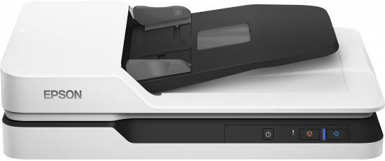 B11B239401BY - Epson