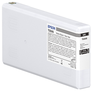 C13T55W800 - Epson