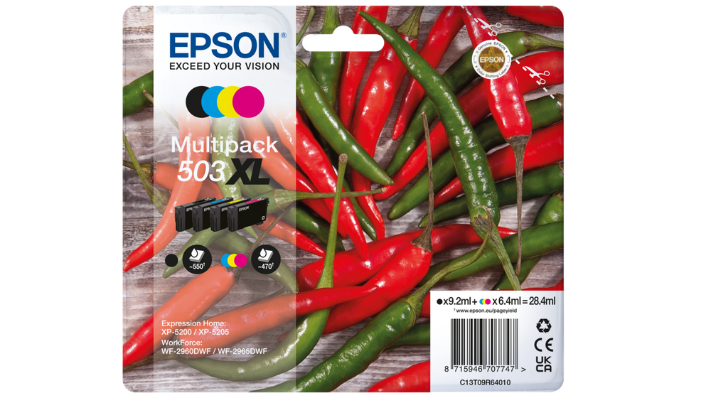 C13T09R64010 - Epson