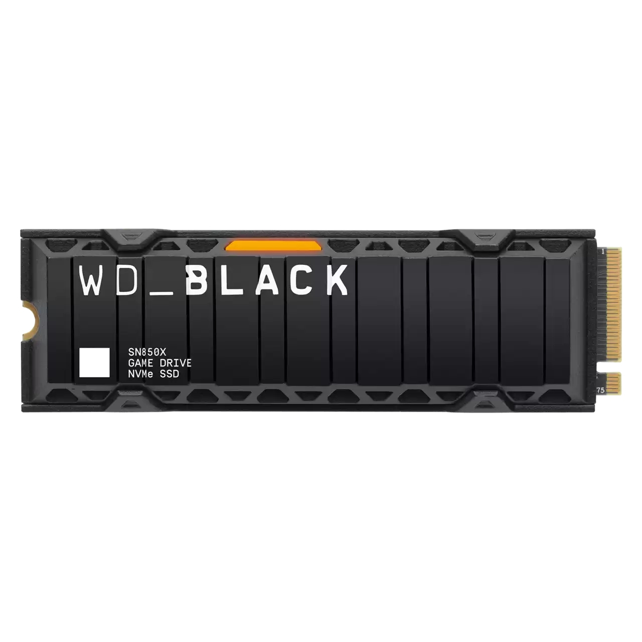 WDS100T2XHE - Western Digital
