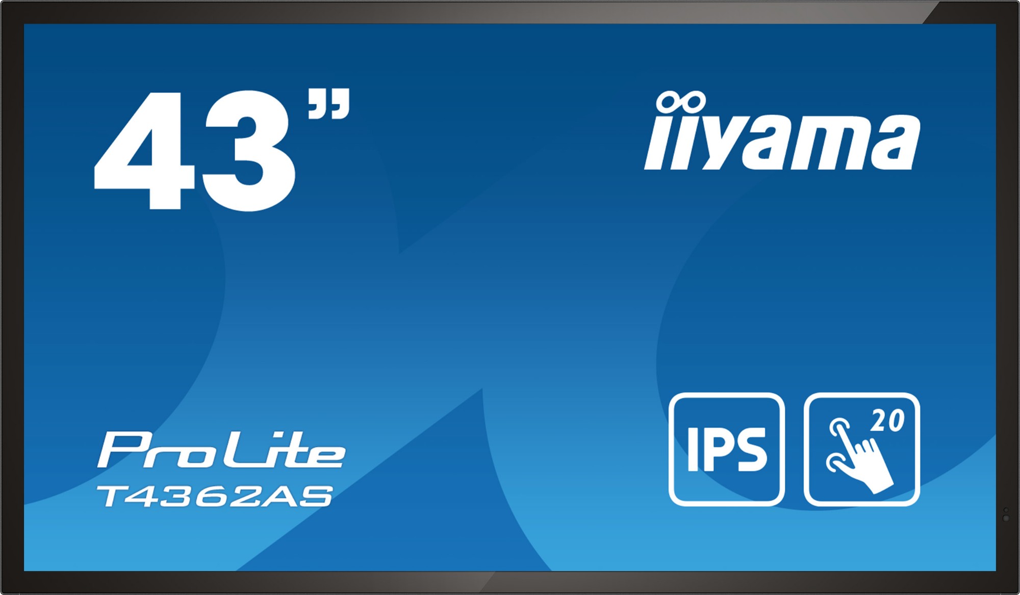 T4362AS-B1 - iiyama