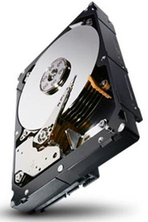 ST1000NM0011-RFB - Seagate