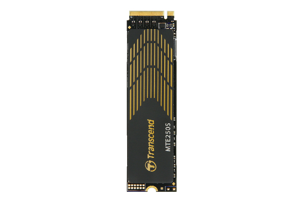 TS1TMTE250S - Transcend