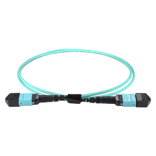 MPO-12TC4MPO3 - Cablenet