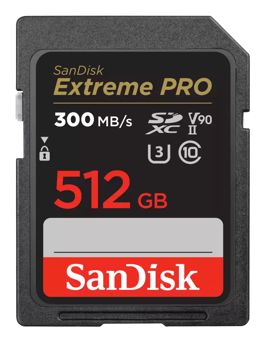 SDSDXDK-512G-GN4IN - Sandisk