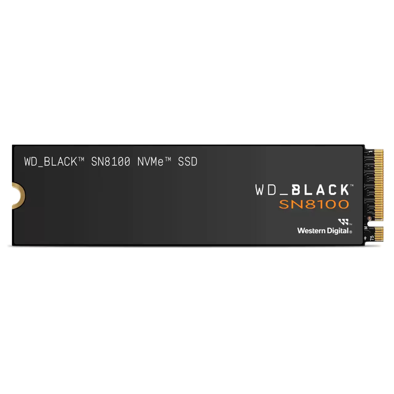 WDS100T1X0M-00CMT0 - Western Digital