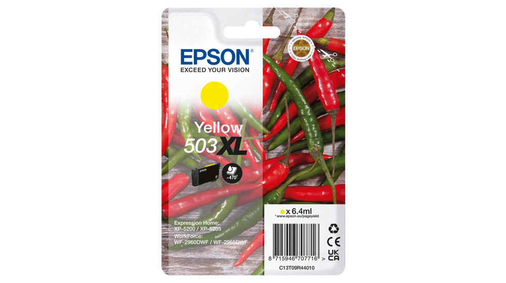 C13T09R44010 - Epson