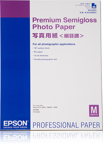 C13S042093 - Epson